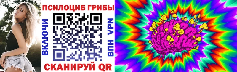 Псилоцибиновые грибы Psilocybine cubensis  Обь 